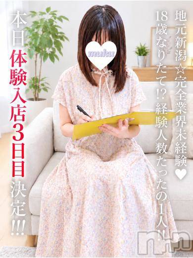 ここ
