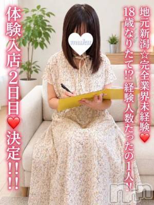 ここ(18)