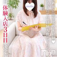 ここ