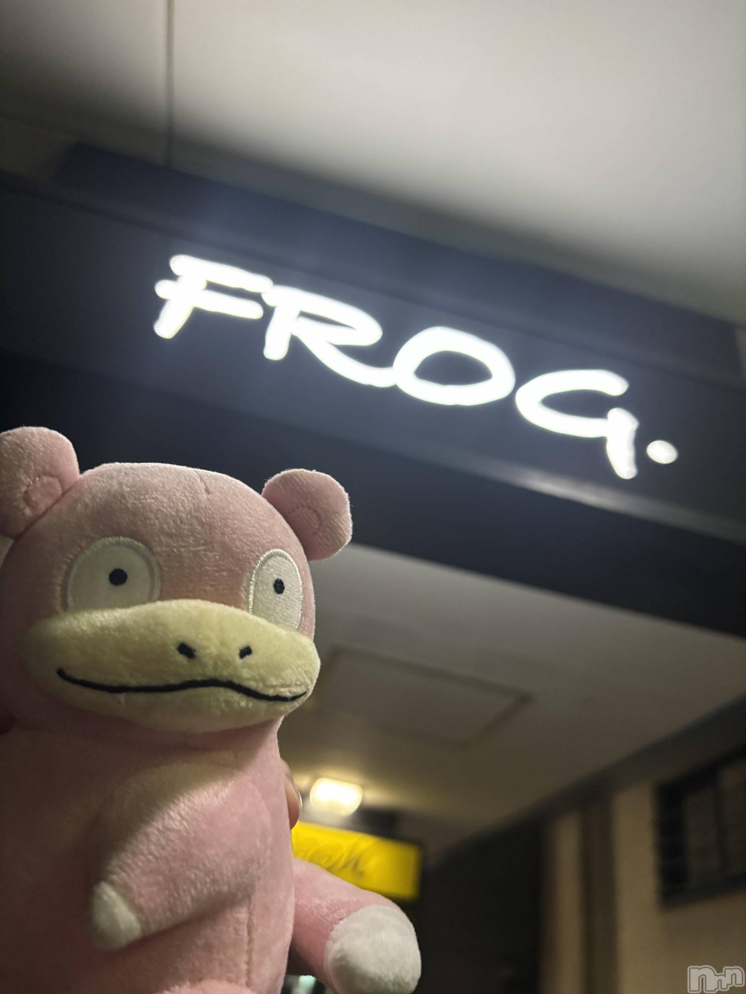 ��Ʋ����������åȥС�FROG(�ե��å�) ��2026ǯ10��3���̥�֥����ְ��ߤޤ��硼����