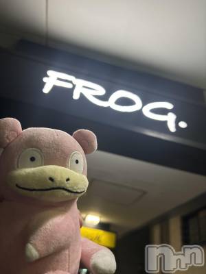 ��Ʋ�ˤ������������åȥС���FROG(�ե��å�)�פΥ��㥹�ȡ֥٥�פξҲ����