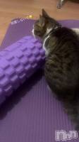 �롼�ƥ���