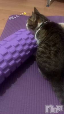 �롼�ƥ���