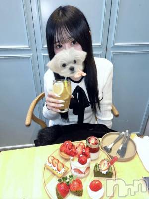 長岡デリヘル ROOKIE(ルーキー) れあ(20)の9月22日写メブログ「♡癒すね♡」
