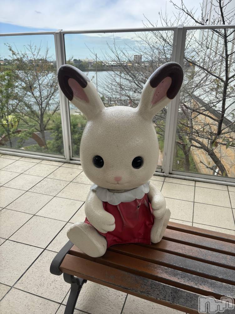 ��Į���ʥå��������륺�С����ʥå�����ܤ�̡�Ĺ��������2��Ź(���ʥå�����ܥ���ޡ��ʥ����������ޥ����˥����ƥ�) ��ʤ�10��9���̥�֥����ֶ��������衼❣️��