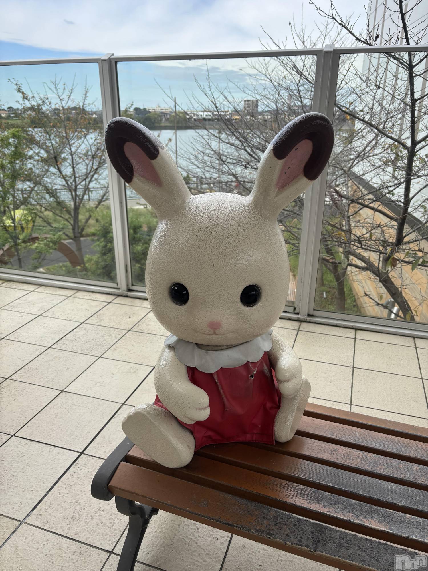 ��Į���ʥå��������륺�С����ʥå�����ܤ�̡�Ĺ��������2��Ź(���ʥå�����ܥ���ޡ��ʥ����������ޥ����˥����ƥ�) ��2026ǯ10��9���̥�֥����ֶ��������衼❣️��