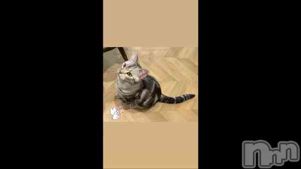 ��😽��