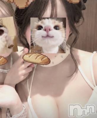 �뤤 ǯ��20�� / ��Ĺ150cm