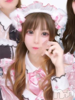 ������(23) ��Ĺ150cm������������ʥå��������륺�С� ROYAL ONE(���������)���ҡ�
