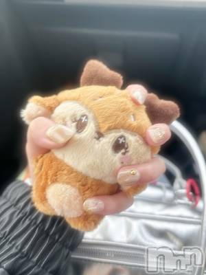 ��Į���ʥå��������륺�С� ���ʥå�����ܤ�̡�Ĺ��������2��Ź(���ʥå�����ܥ���ޡ��ʥ����������ޥ����˥����ƥ�) �椤�β���(1����)