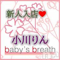 はじめまして　小川りんです