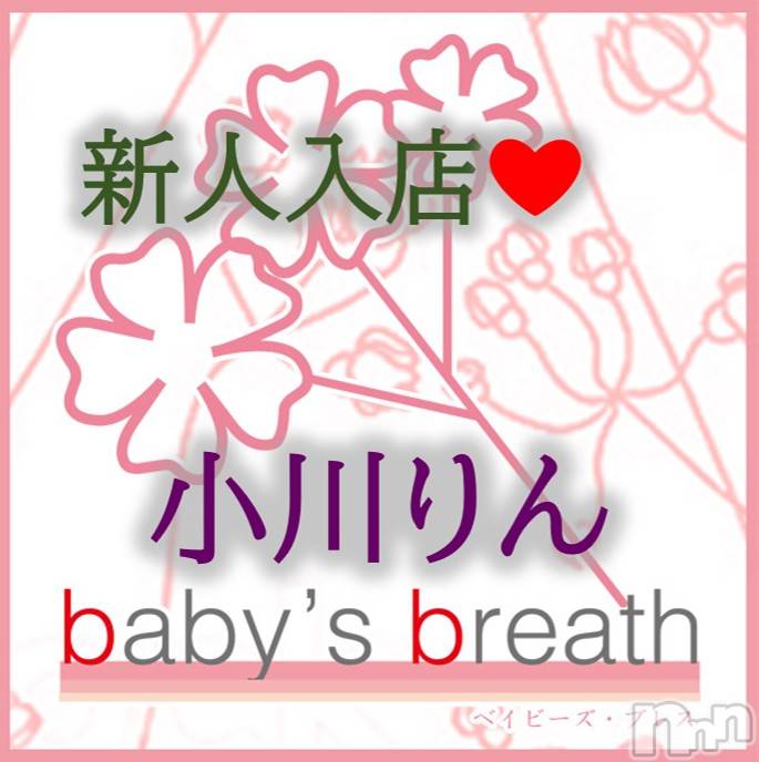 小川りん【新人】