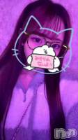 �ѥ����🐑💤