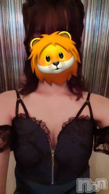 ���ܱ�������Х��顦����֥���� �ץ���� ����(����� �ץ���� �ޥĥ��) �줪��10��10���̥�֥����ֽжС�������🦁��