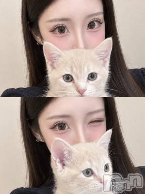 ���(�ҥߥ�) ��Ĺ�ҥߥġ������������Х��顦����� LYNX(��󥯥�)���ҡ�