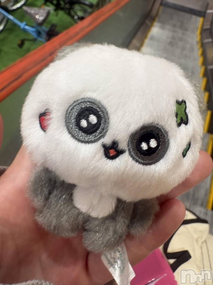 ����������ʥå��������륺�С�LAPLUS(��ץ饹) ��Ϥ�10��17���̥�֥����ֵ�:̣�С�