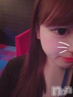 ��Ʋ���ʥå��������륺�С�Sugar Rabbits(���奬����ӥå�) ������10��17���̥�֥����֤���Ф뤾�á�