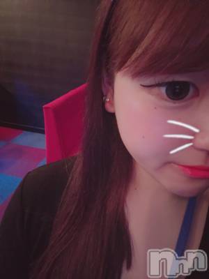 ��Ʋ���ʥå��������륺�С�Sugar Rabbits(���奬����ӥå�) ������10��17���̥�֥����֤���Ф뤾�á�