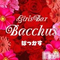 ����������ʥå��������륺�С� Girls Bar Bacchus�������Ź(�Хå��������ޥ��ƥ�) �Ƥ�β���(2����)