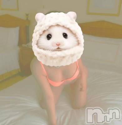 新潟デリヘル 熟女の風俗 最終章(ジュクジョノフウゾクサイシュウショウ) あまね(50)の10月14日写メブログ「昼間、夜空き枠あります！！」