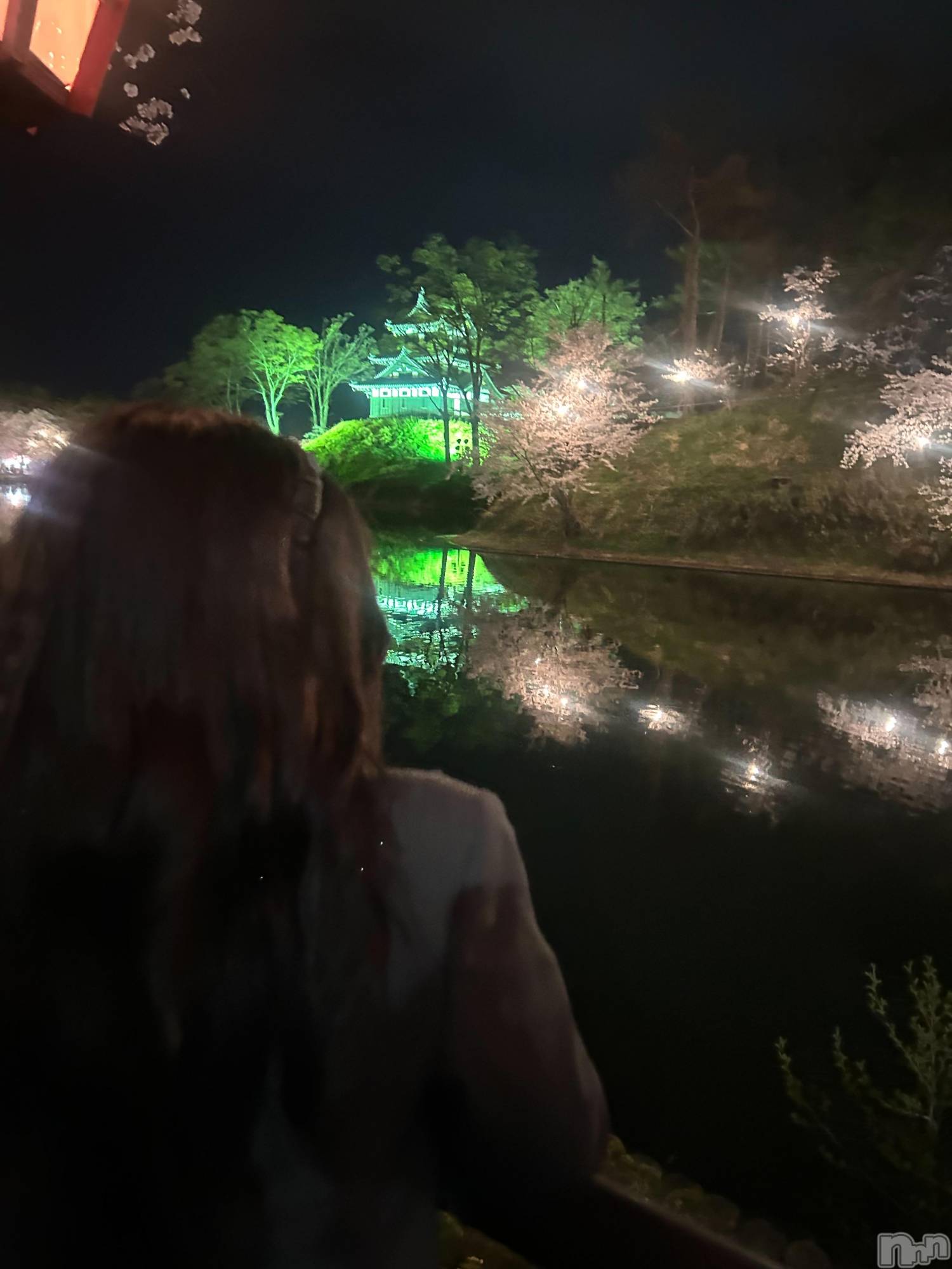 ひめ