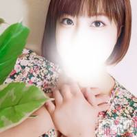 坂木さく