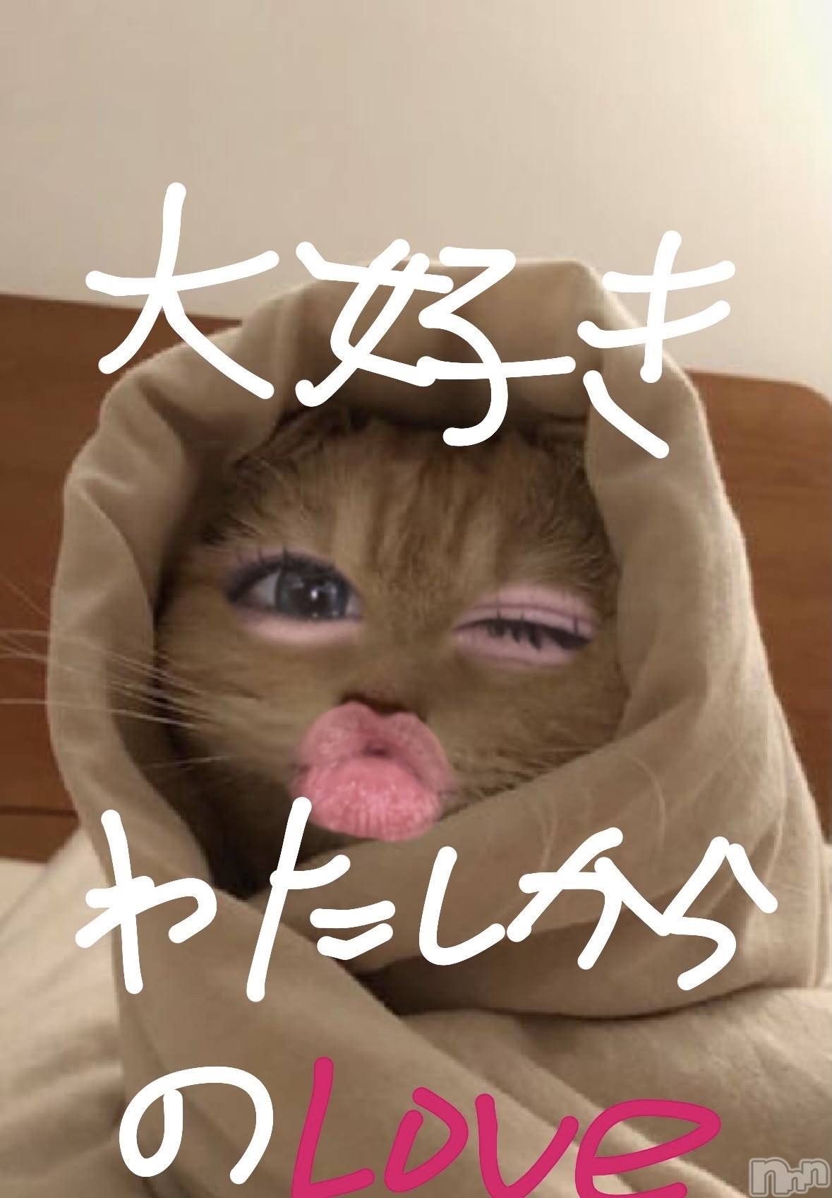 Ĺ��ʥå��������륺�С����פꥹ�ʥå�����ä��礤(���ޥĥꥹ�ʥå�����å��祤) ��2026ǯ10��28���̥�֥����֤Ȥ���Ȥ������Ѥ��Ƹ��ޤ���🙄🫧��