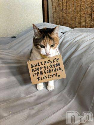 新潟人妻デリヘル人妻不倫処　桃屋　新潟店(ヒトヅマフリンドコロモモヤ) みこと殿方の女神(48)の6月11日写メブログ「金縛り」