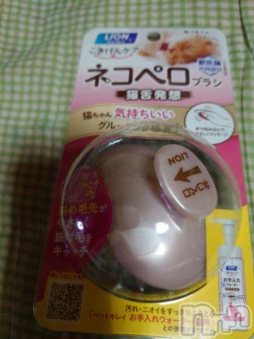 新潟人妻デリヘル人妻不倫処　桃屋　新潟店(ヒトヅマフリンドコロモモヤ) みこと殿方の女神(48)の8月18日写メブログ「猫ペロ」