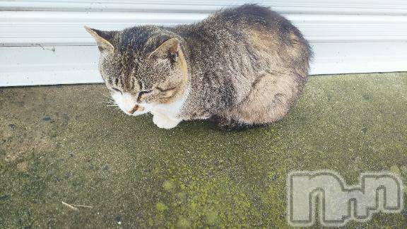 新潟デリヘル人妻不倫処　桃屋　新潟店(ヒトヅマフリンドコロモモヤ) みこと殿方の女神(48)の12月22日写メブログ「今年1年」