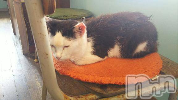 新潟デリヘル人妻不倫処　桃屋　新潟店(ヒトヅマフリンドコロモモヤ) みこと殿方の女神(48)の12月29日写メブログ「明日」