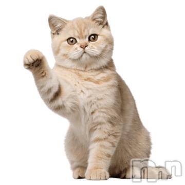 新潟デリヘル人妻不倫処　桃屋　新潟店(ヒトヅマフリンドコロモモヤ) みこと殿方の女神(48)の2月14日写メブログ「出勤」