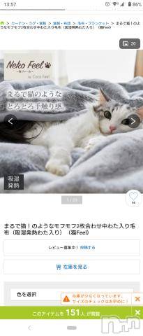 新潟人妻デリヘル人妻不倫処　桃屋　新潟店(ヒトヅマフリンドコロモモヤ)みこと殿方の女神(48)の2022年10月21日写メブログ「猫毛布」