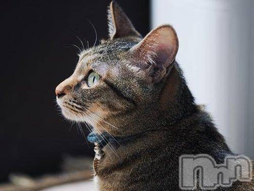 新潟デリヘル人妻不倫処　桃屋　新潟店(ヒトヅマフリンドコロモモヤ)みこと殿方の女神(48)の2026年3月30日写メブログ「奇妙な」