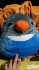 新潟デリヘル人妻不倫処　桃屋　新潟店(ヒトヅマフリンドコロモモヤ) みこと殿方の女神(48)の9月7日写メブログ「日記」