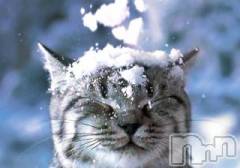 新潟デリヘル人妻不倫処　桃屋　新潟店(ヒトヅマフリンドコロモモヤ) みこと殿方の女神(48)の1月17日写メブログ「( ・∇・)」