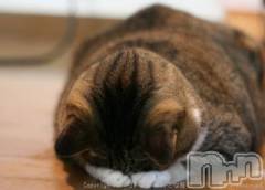 新潟デリヘル人妻不倫処　桃屋　新潟店(ヒトヅマフリンドコロモモヤ) みこと殿方の女神(48)の2月15日写メブログ「( ・∇・)」