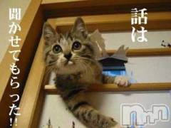 新潟人妻デリヘル人妻不倫処　桃屋　新潟店(ヒトヅマフリンドコロモモヤ) みこと殿方の女神(48)の4月12日写メブログ「(*^-^*)」