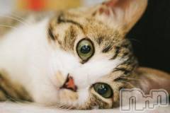 新潟デリヘル人妻不倫処　桃屋　新潟店(ヒトヅマフリンドコロモモヤ) みこと殿方の女神(48)の1月8日写メブログ「遅くなって」