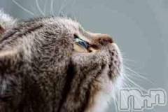 新潟デリヘル人妻不倫処　桃屋　新潟店(ヒトヅマフリンドコロモモヤ) みこと殿方の女神(48)の3月6日写メブログ「ありがとう」