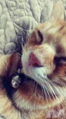 新潟デリヘル人妻不倫処　桃屋　新潟店(ヒトヅマフリンドコロモモヤ) みこと殿方の女神(48)の5月5日写メブログ「21時まで」