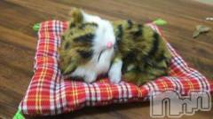 新潟デリヘル人妻不倫処　桃屋　新潟店(ヒトヅマフリンドコロモモヤ) みこと殿方の女神(48)の7月22日写メブログ「こんにちわ」