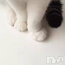 新潟デリヘル人妻不倫処　桃屋　新潟店(ヒトヅマフリンドコロモモヤ) みこと殿方の女神(48)の7月23日写メブログ「出勤」