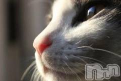 新潟デリヘル人妻不倫処　桃屋　新潟店(ヒトヅマフリンドコロモモヤ) みこと殿方の女神(48)の9月11日写メブログ「こんにちわ」