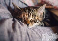 新潟デリヘル人妻不倫処　桃屋　新潟店(ヒトヅマフリンドコロモモヤ) みこと殿方の女神(48)の1月6日写メブログ「2020」