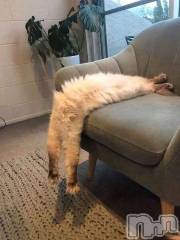 新潟デリヘル人妻不倫処　桃屋　新潟店(ヒトヅマフリンドコロモモヤ) みこと殿方の女神(48)の1月8日写メブログ「吉」