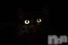 新潟デリヘル人妻不倫処　桃屋　新潟店(ヒトヅマフリンドコロモモヤ) みこと殿方の女神(48)の1月20日写メブログ「明日も」