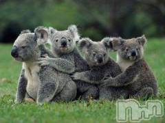 新潟デリヘル人妻不倫処　桃屋　新潟店(ヒトヅマフリンドコロモモヤ) みこと殿方の女神(48)の1月22日写メブログ「やっと」