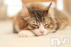 新潟デリヘル人妻不倫処　桃屋　新潟店(ヒトヅマフリンドコロモモヤ) みこと殿方の女神(48)の1月30日写メブログ「こんばんわ」