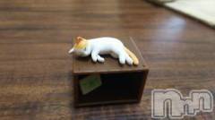 新潟デリヘル人妻不倫処　桃屋　新潟店(ヒトヅマフリンドコロモモヤ) みこと殿方の女神(48)の3月25日写メブログ「ガチャ」